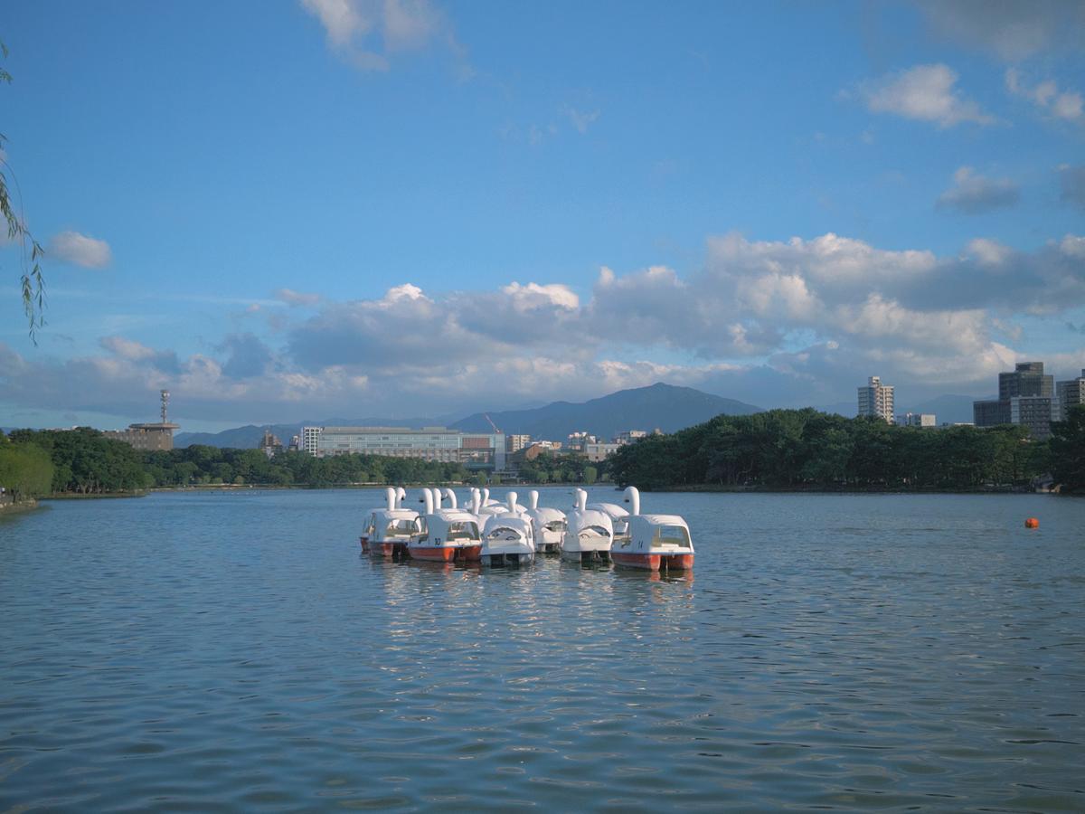 大濠公园湖面与天鹅船