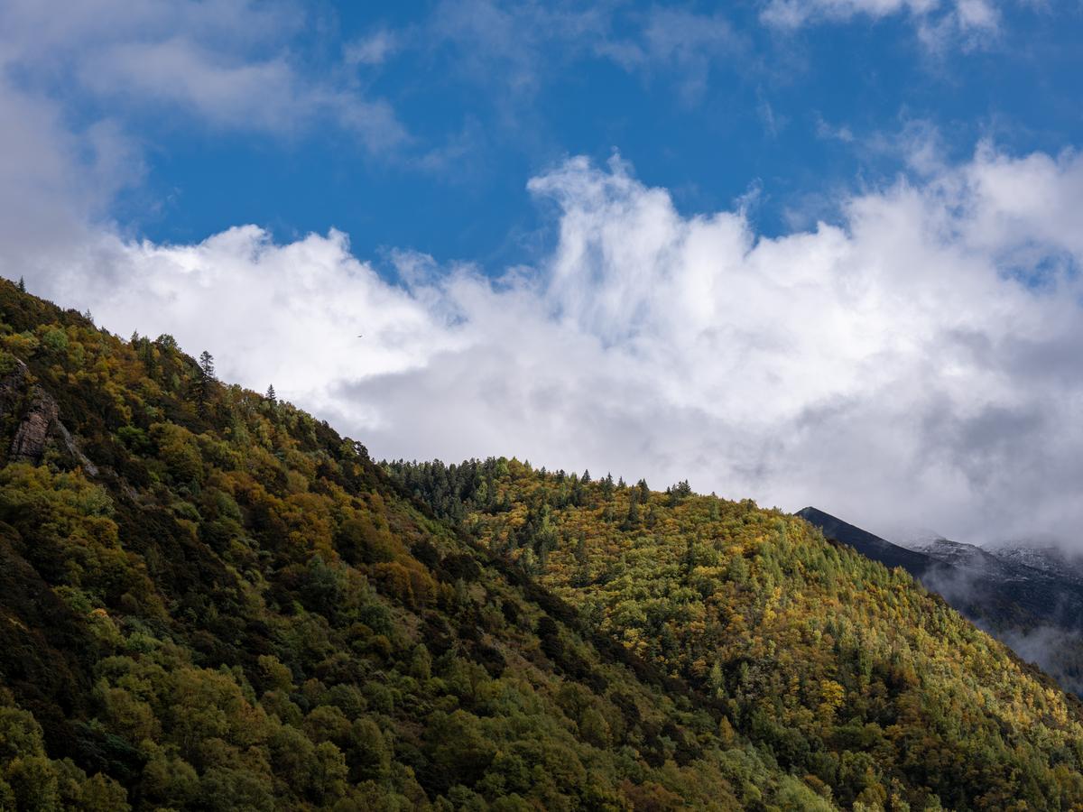 高山