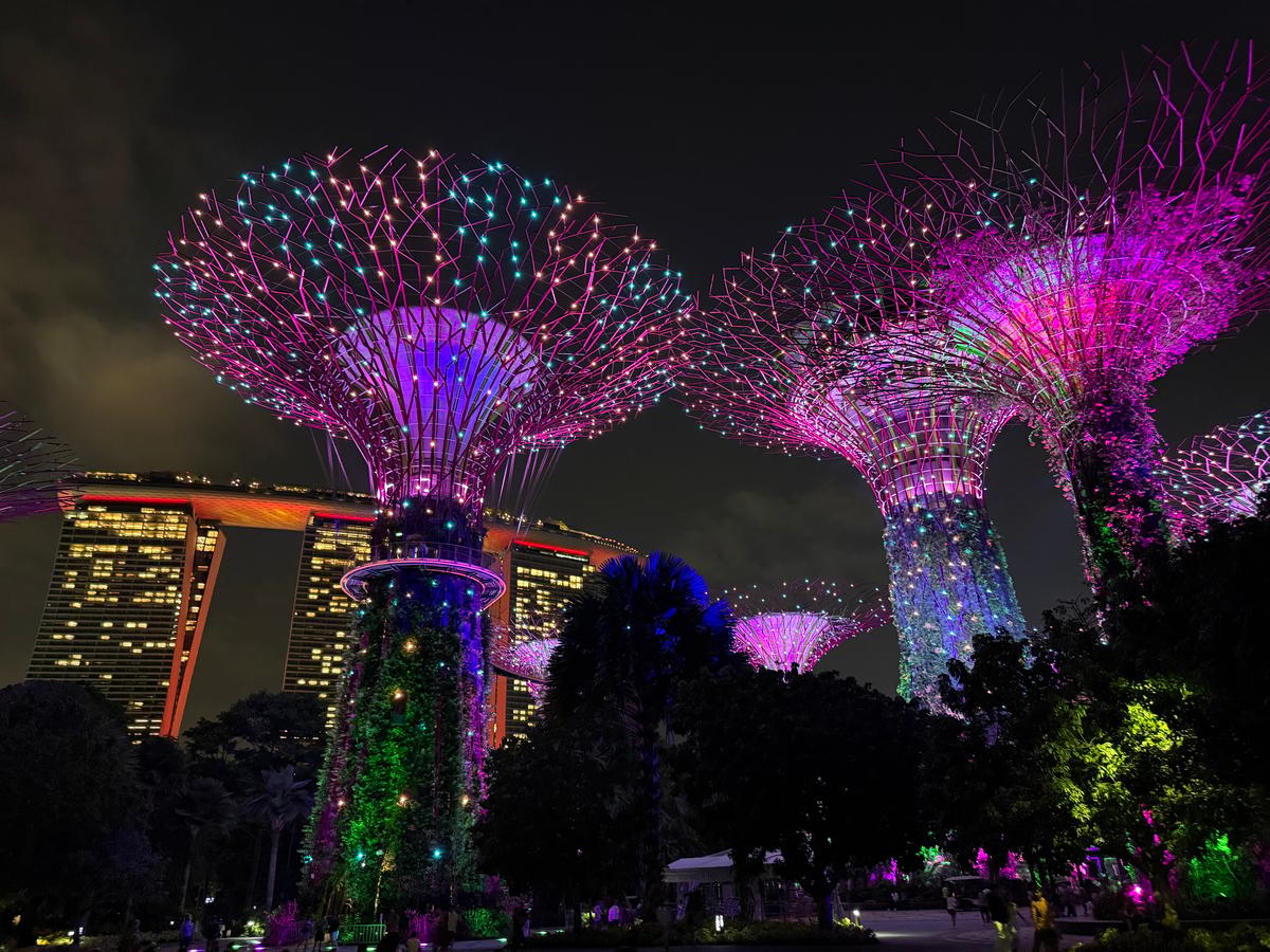 夜色中的滨海湾花园擎天树林