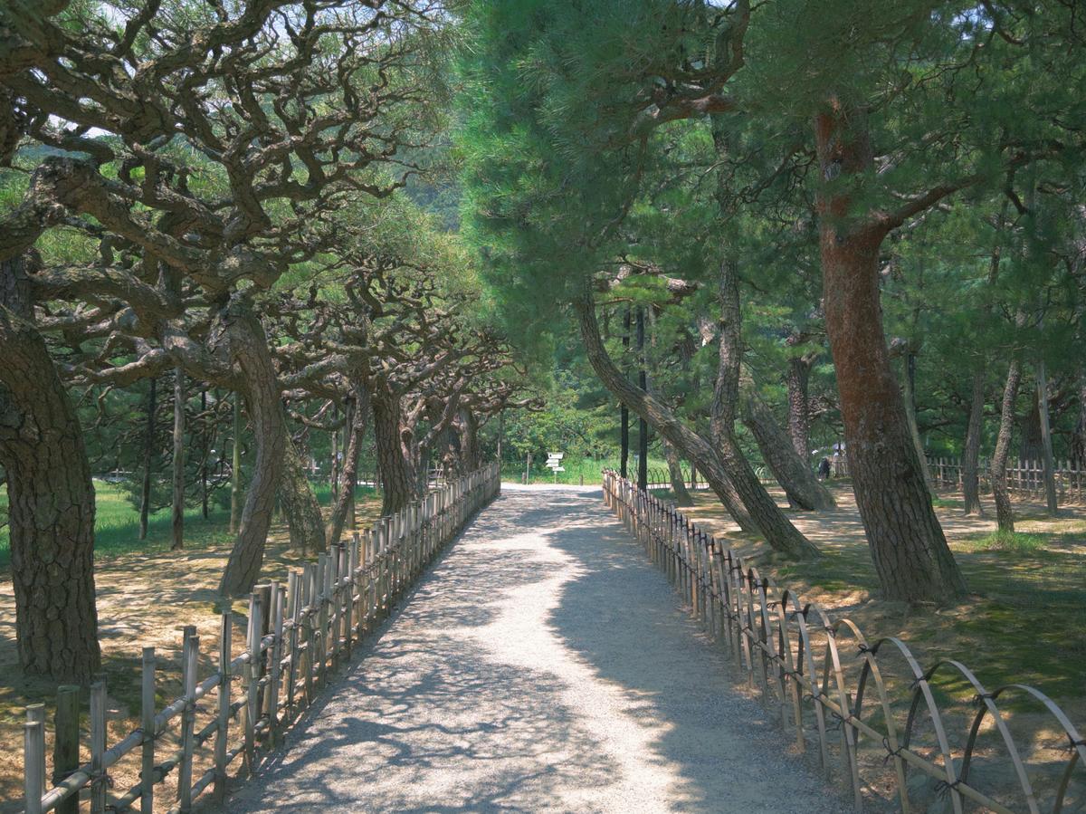 栗林公园松林小径